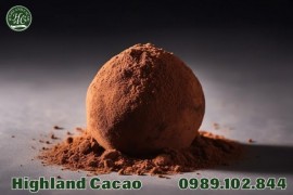 BỘT CACAO NGUYÊN CHẤT – LUÔN MANG ĐẾN TRẢI NGHIỆM TUYỆT VỜI CHO NGƯỜI DÙNG