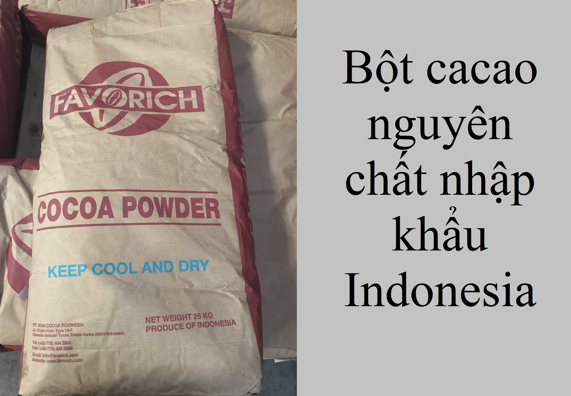 Bột cacao nguyên chất Indonesia bao 25kg