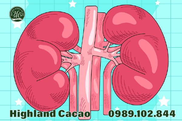 CACAO ĐẮNG CÓ AN TOÀN CHO THẬN KHÔNG?