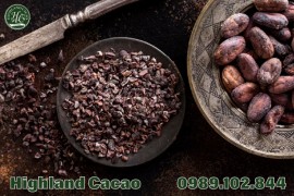 CACAO ĐẮNG – THỰC PHẨM TỐT CHO SỨC KHỎE