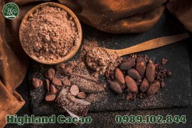 CACAO LÀ GÌ? ĐIỀU GÌ XẢY RA NẾU DÙNG CACAO MỖI NGÀY?