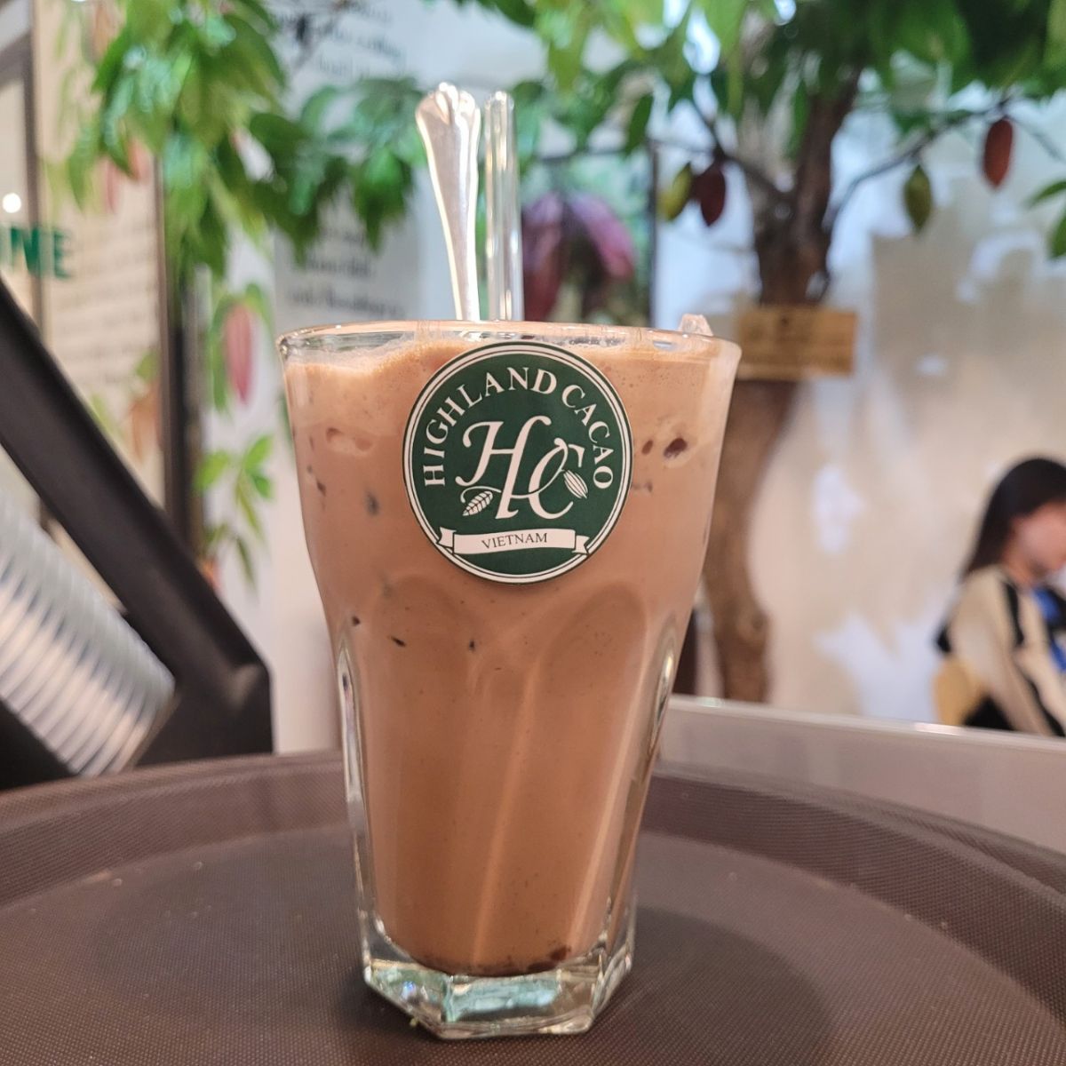 cacao-sua-da