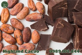 CÔNG DỤNG CỦA TRÁI CACAO TRONG SẢN XUẤT