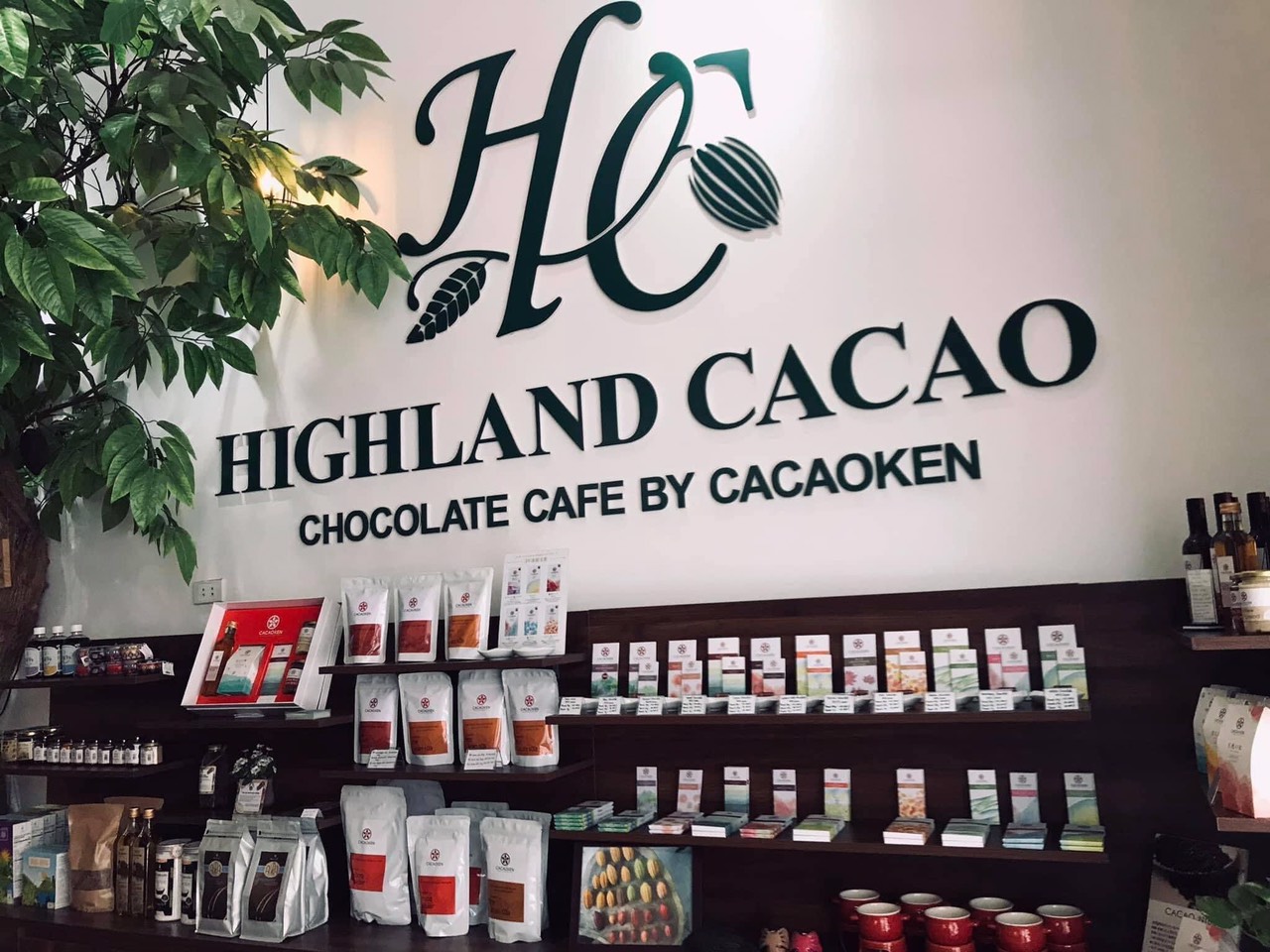 highland-cacao